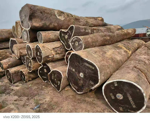 Tronchi rotondi iroko