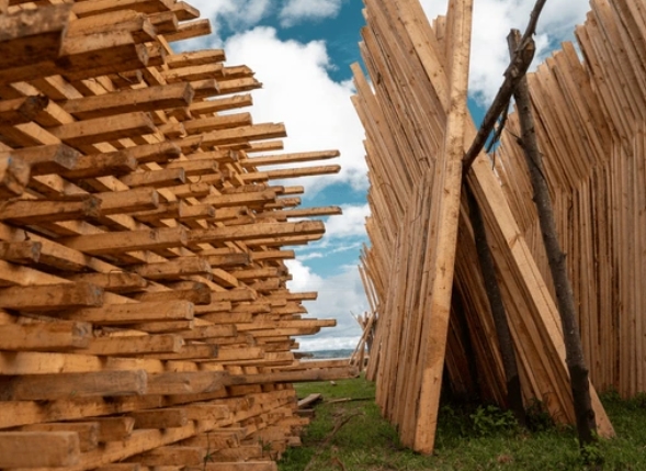 İtalyan Okoume Wood Factories.jpg
