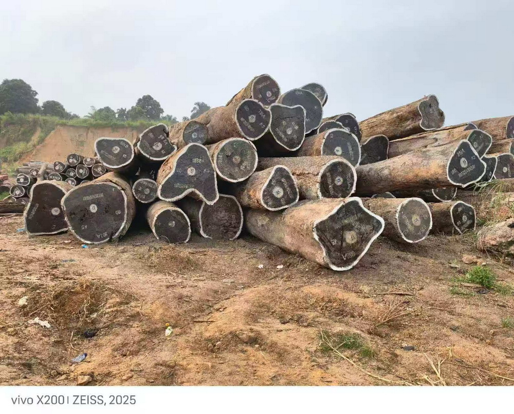 Ироко пиломатериал