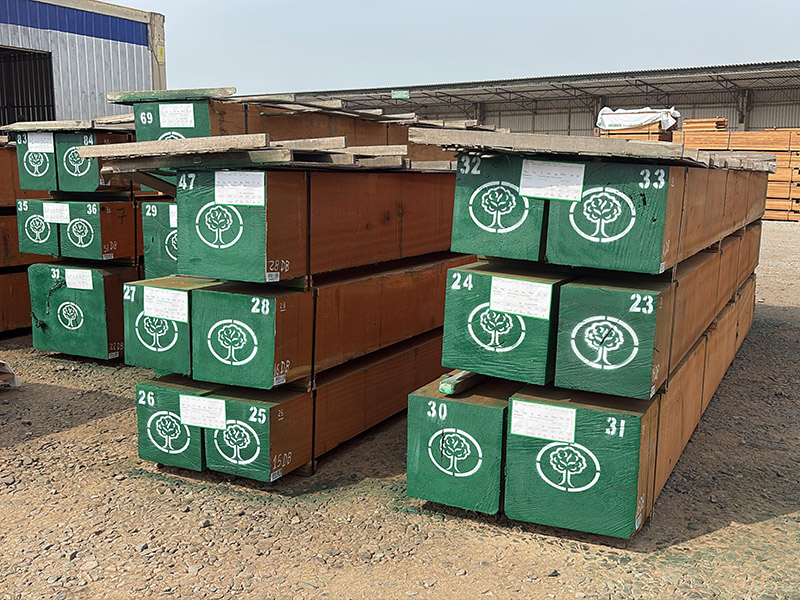 چوب موشونست